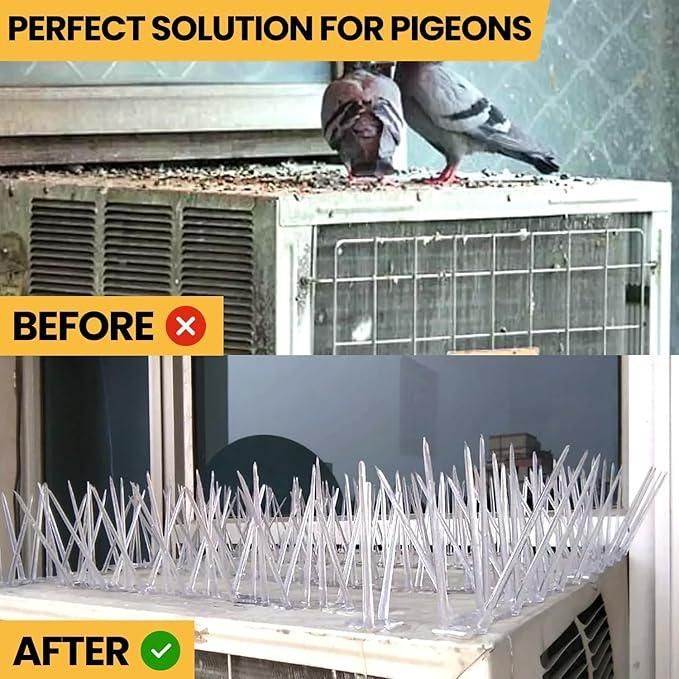 Pigeon Control Spikes