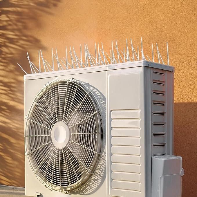 Pigeon Control Spikes