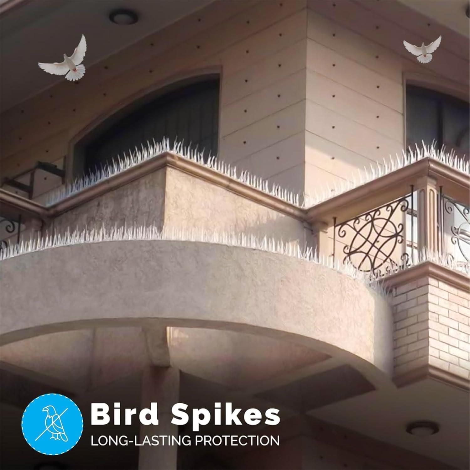 Pigeon Control Spikes