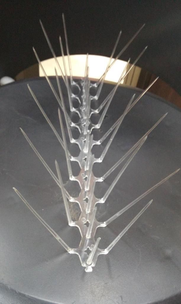 Pigeon Control Spikes