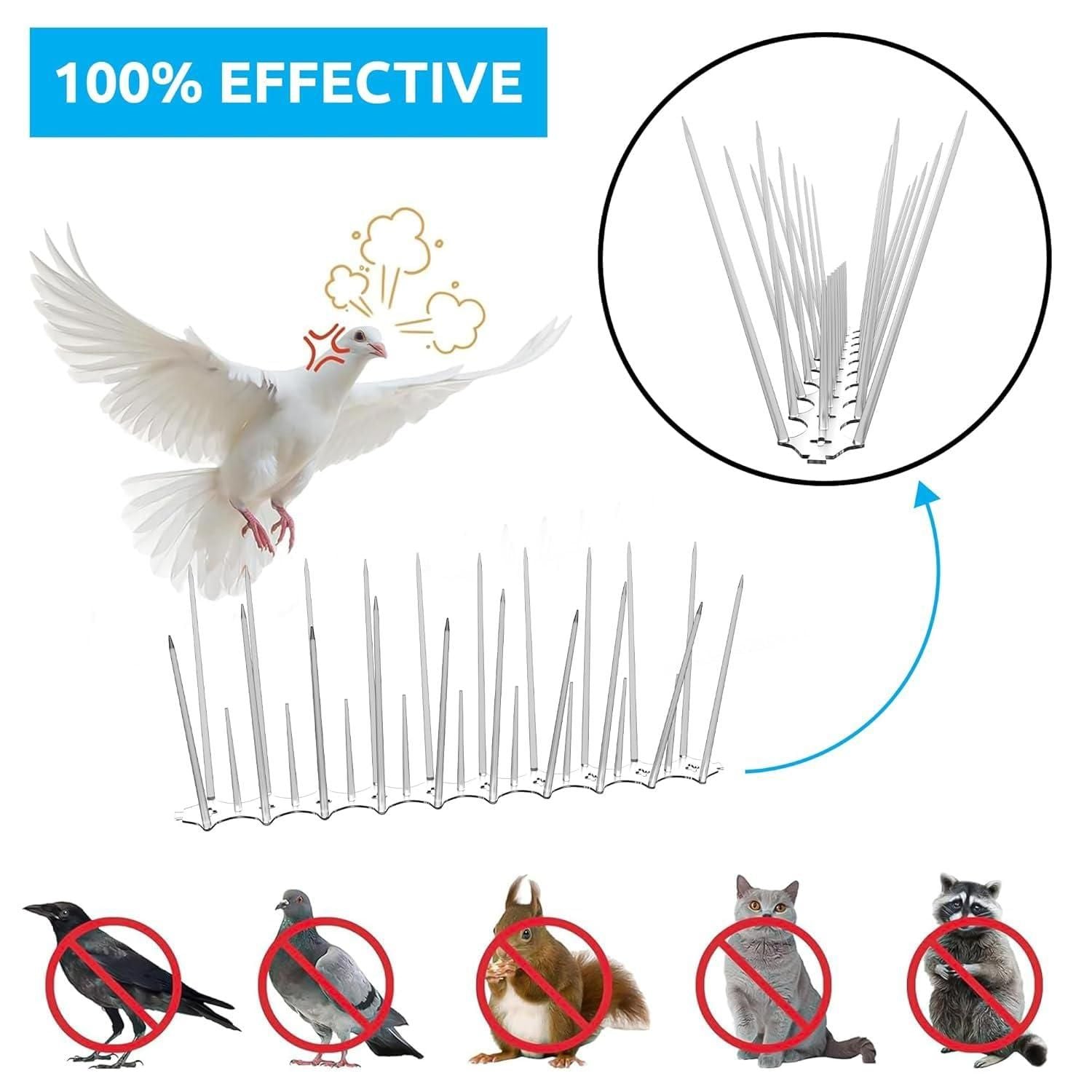 Pigeon Control Spikes